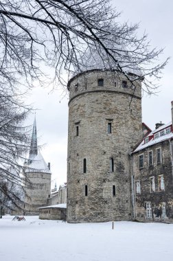 Kale wall Tallinn