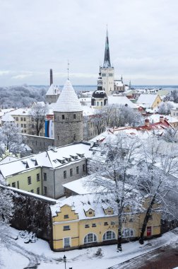 Tallinn Eski Kasabası