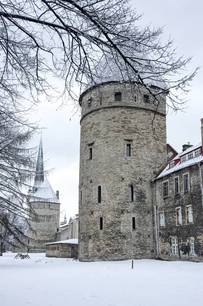 Kale wall Tallinn — Stok fotoğraf