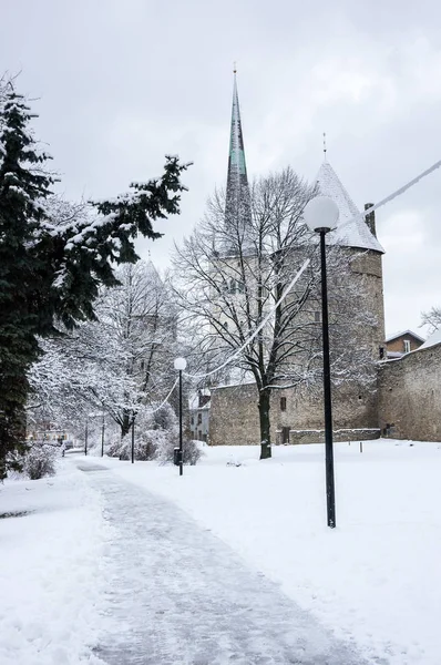 Muralla de la fortaleza de Tallin — Foto de Stock