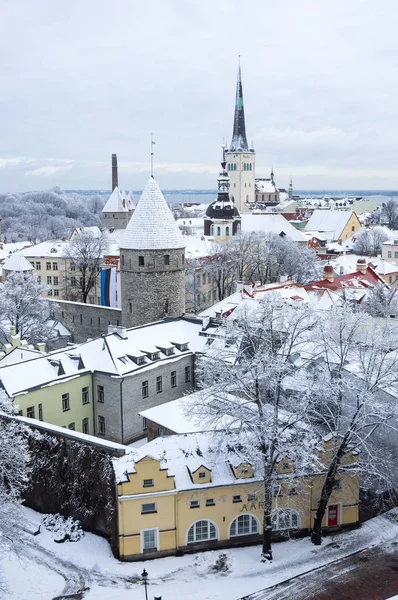 Старый город Таллинн — стоковое фото