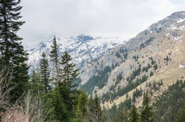 Vanoise national park