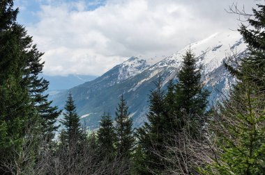 Vanoise national park