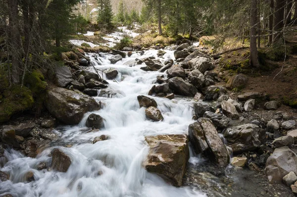 Ruisseau de montagne dans les Alpes — Photo