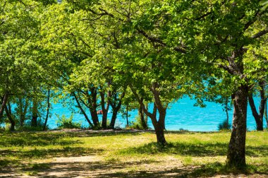 Oak grove görüntülemek