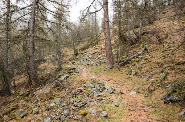 Nationaal Park Les Ecrins — Stockfoto