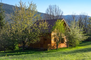 Elma ağaçlarının arasında ev