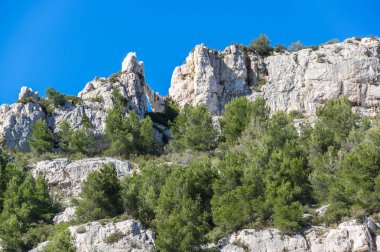 Calanque de Morgiou
