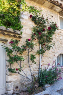 Oppede-le-Vieux eski evde