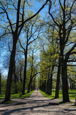 Pushkin Alexander parkta görünümünü