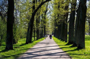 Pushkin Alexander parkta görünümünü