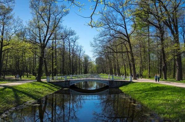 Uitzicht op het Park Alexander in Poesjkin — Stockfoto