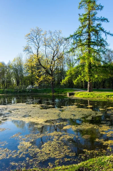 Uitzicht stadspark — Stockfoto