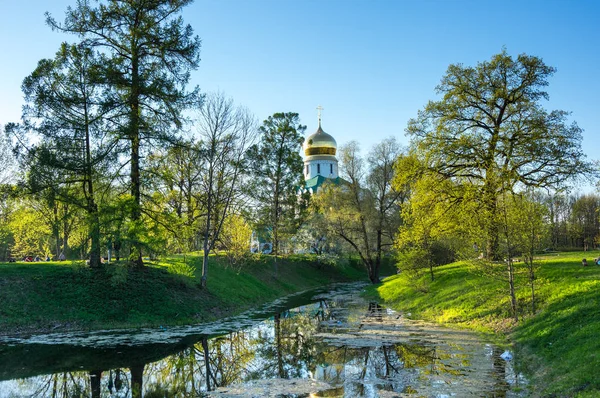 View of city park — Stock Photo, Image