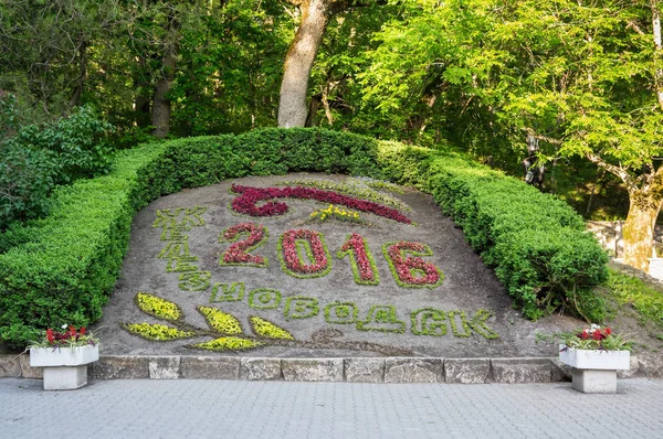 Şehir park Zheleznovodsk çiçek takviminde — Stok fotoğraf