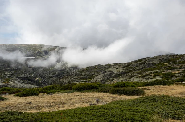 Parque natural de la serra da estrela —  Fotos de Stock