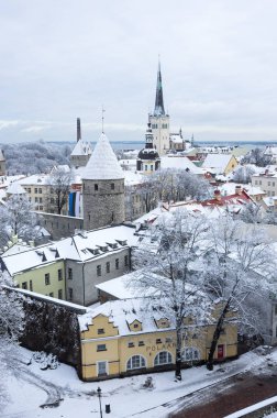 Tallinn Eski Kasabası