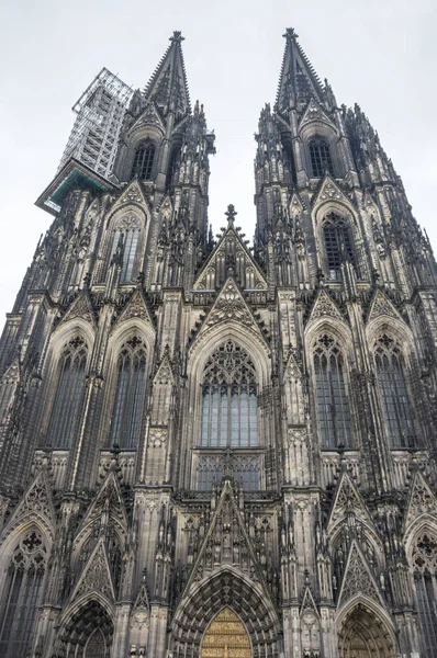 Vue de la cathédrale de Cologne — Photo
