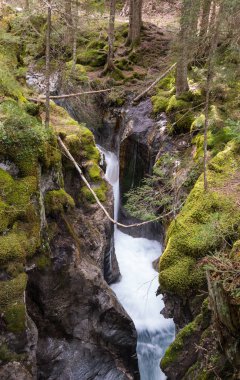 Mountain brook Alpleri'nde