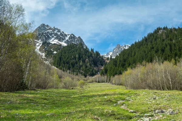 Panoramic view of french Alps — Stock Photo, Image