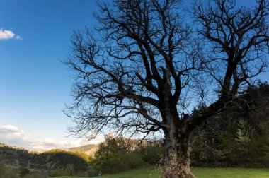 Azure Prealps Bölgesel Doğa Parkı