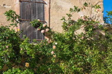 Oppede-le-Vieux eski evde