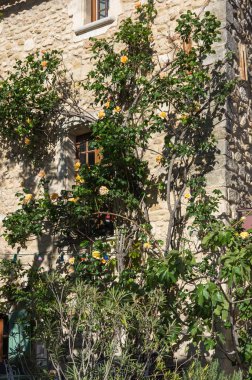 Oppede-le-Vieux eski evde