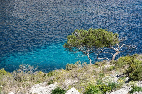 La Calanque de Morgiou — Photo