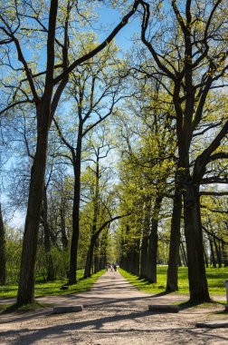 Pushkin Alexander parkta görünümünü