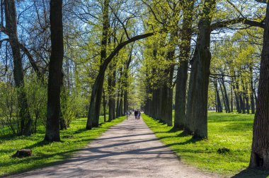 Pushkin Alexander parkta görünümünü