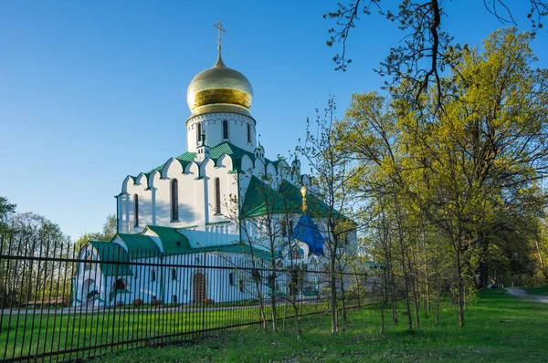 Theodore Cathedral in Pushkin — Stock Photo, Image