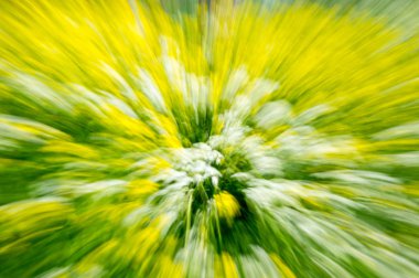 çok renkli arka plan