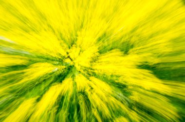 çok renkli arka plan