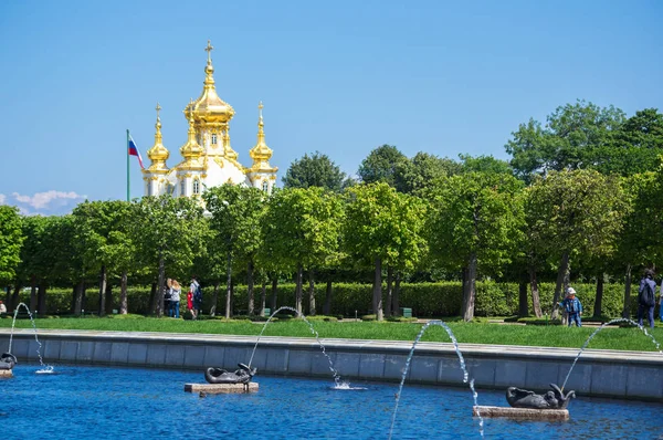 Grand Peterhof-palasset – stockfoto