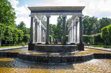 Aslan'ın art arda sıralı