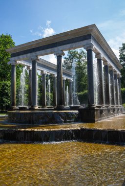 Aslan'ın art arda sıralı