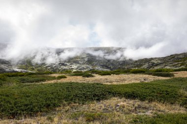 Serra da Estrela Doğal Parkı