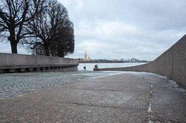 Vasilyevsky adada görüntülemek