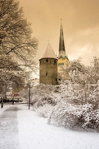 Mury twierdzy w Tallinnie — Zdjęcie stockowe