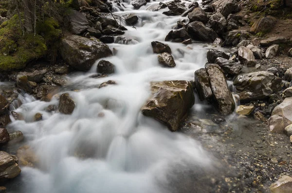 Mountain brook in Alps — Stock Photo, Image