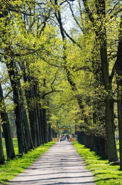 Pushkin Alexander parkta görünümünü