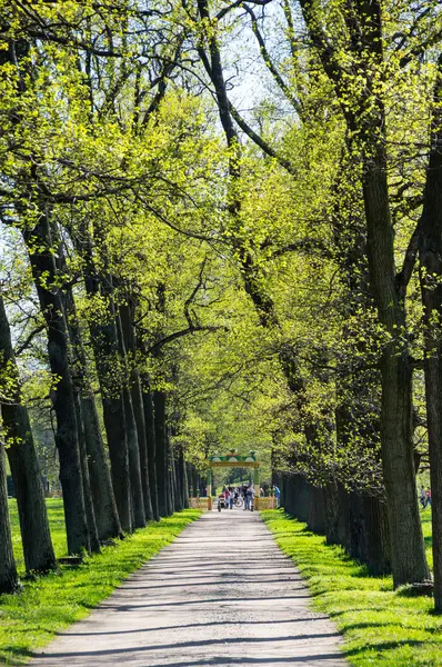 View of the Alexander Park in Pushkin — Stock Photo, Image