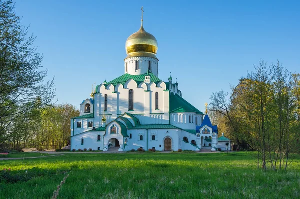 Catedral de Teodoro en Pushkin — Foto de Stock