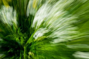 çok renkli arka plan