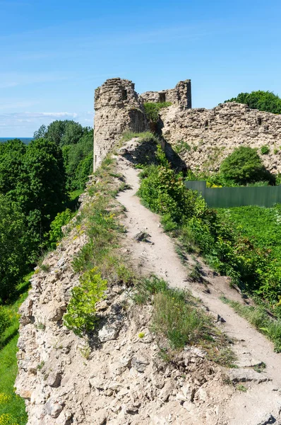 Ruins of Koporye fortress — Stock Photo, Image