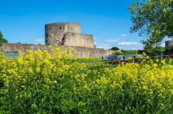 Ruinas de la fortaleza de Koporye —  Fotos de Stock