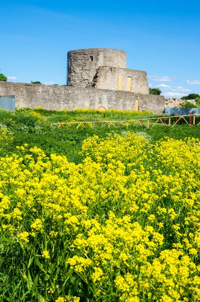 Ruinas de la fortaleza de Koporye —  Fotos de Stock