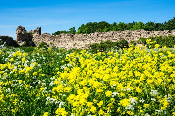 Ruins of Koporye fortress — Stock Photo, Image