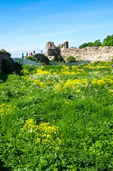 Ruins of Koporye fortress — Stock Photo, Image