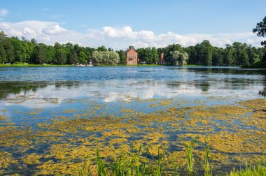 Catherine parkının panoramik görünüm